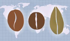 تفاوت قهوه لیبریکا با عربیکا و روبوستا